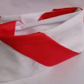 HASDUK PRAMUKA - ALFASALAM