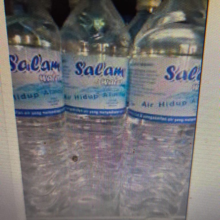salam water 600 ml - ALFASALAM